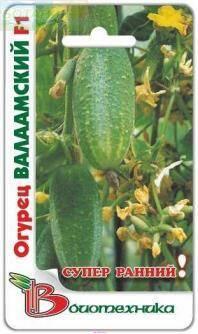 Купить оптом в Ботанике семена Огурец Валаамский F1 Био бренд Биотехника