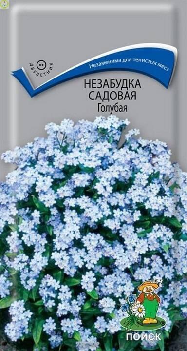 Купить оптом в Ботанике семена Незабудка Голубая садовая Поиск бренд Поиск