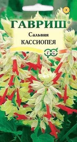 Купить оптом в Ботанике семена Сальвия Кассиопея карликовая Гав бренд Гавриш