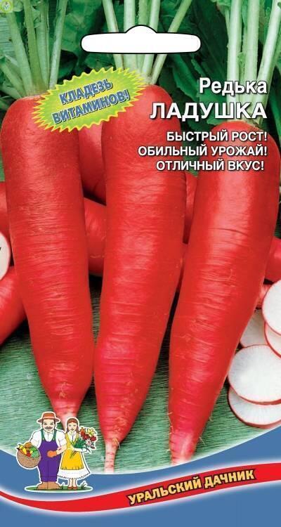 Купить оптом в Ботанике семена Редька Ладушка УД бренд Уральский дачник