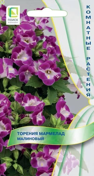 Купить оптом в Ботанике семена Торения Мармелад Малиновый Поиск бренд Поиск