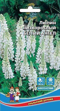 Купить оптом в Ботанике семена Люпин Белый Ангел УД бренд Уральский дачник