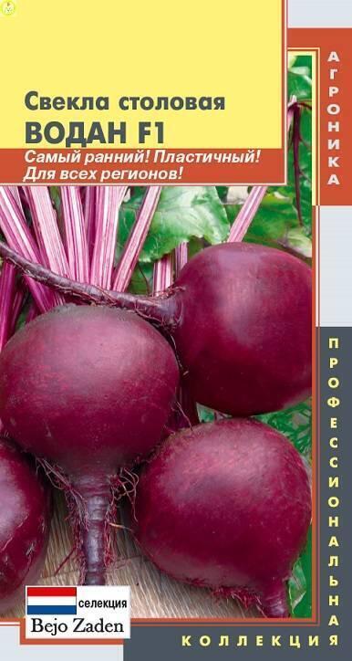 Купить оптом в Ботанике семена Свекла Водан F1 Плз бренд Плазмас