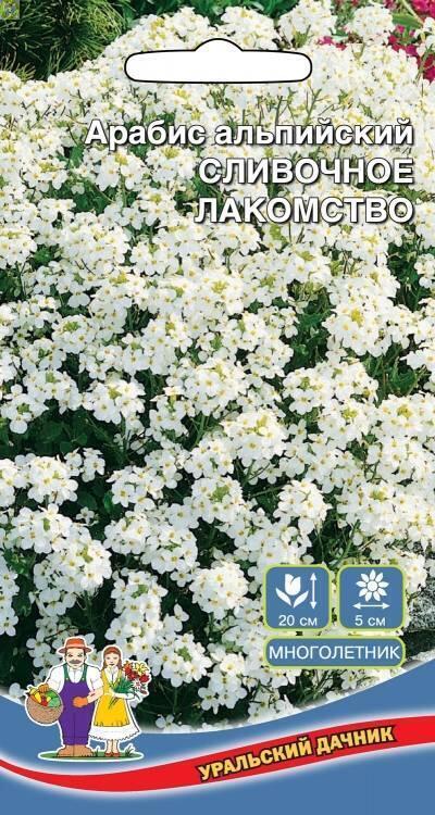 Купить оптом в Ботанике семена Арабис Сливочное Лакомство альпийский УД бренд Уральский дачник