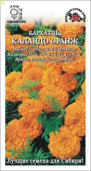 Купить оптом в Ботанике семена Бархатцы Каландо Оранж ЗС бренд Золотая сотка