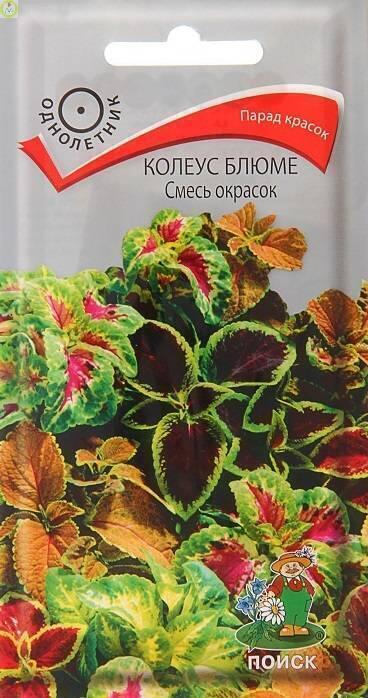 Купить оптом в Ботанике семена Колеус Блюме Смесь окрасок Поиск бренд Поиск