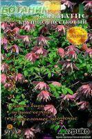 Купить оптом в Ботанике семена Клематис Крупнолепестковый Агр бренд Агрико