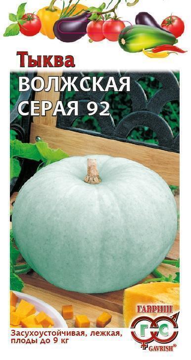 Купить оптом в Ботанике семена Тыква Волжская серая Гав бренд Гавриш