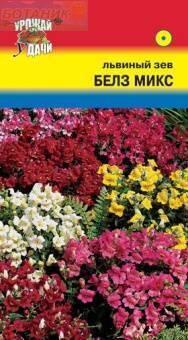 Купить оптом в Ботанике семена Львиный зев Белз Микс УУ бренд Урожай Удачи