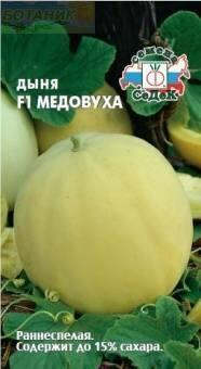 Купить оптом в Ботанике семена Дыня Медовуха Сед бренд СеДеК