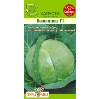 Купить оптом в Ботанике семена Капуста белокочанная Валентина СА бренд Семена Алтая