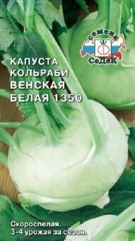Купить оптом в Ботанике семена Капуста кольраби Венская белая Сед бренд СеДеК