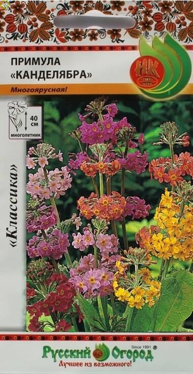 Купить оптом в Ботанике семена Примула Канделябра, смесь НК бренд НК
