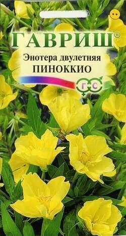 Купить оптом в Ботанике семена Энотера Пиноккио двулетняя Гав бренд Гавриш