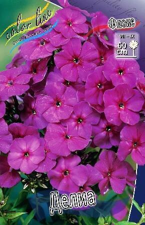 Купить оптом в Ботанике Флокс Делиа 2 шт