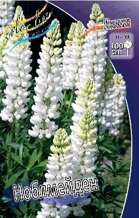 Купить оптом в Ботанике Люпин Ноблемейден 3 шт