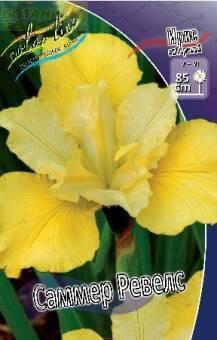 Купить оптом в Ботанике Ирис Саммер Ревелс 1 шт