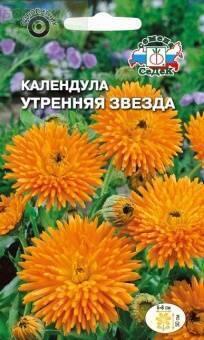 Купить оптом в Ботанике семена Календула Утренняя звезда Сед бренд СеДеК