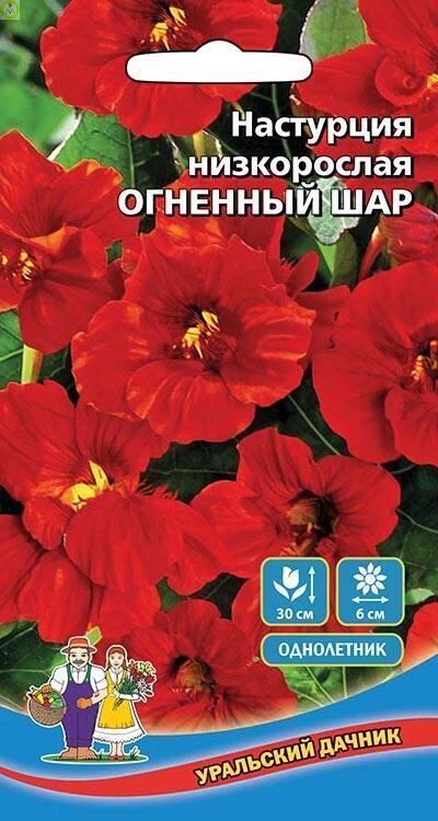 Купить оптом в Ботанике семена Настурция Огненный Шар УД бренд Уральский дачник
