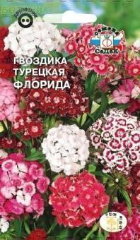 Купить оптом в Ботанике семена Гвоздика турецкая Флорида Сед бренд СеДеК