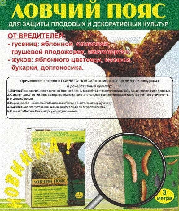 Купить оптом в Ботанике Ловчий пояс 3 метра (20)