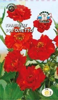 Купить оптом в Ботанике семена Гравилат Риголетто чилийский алый Сед бренд СеДеК