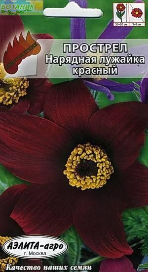 Купить оптом в Ботанике семена Прострел Нарядная лужайка красный Аэл бренд Аэлита