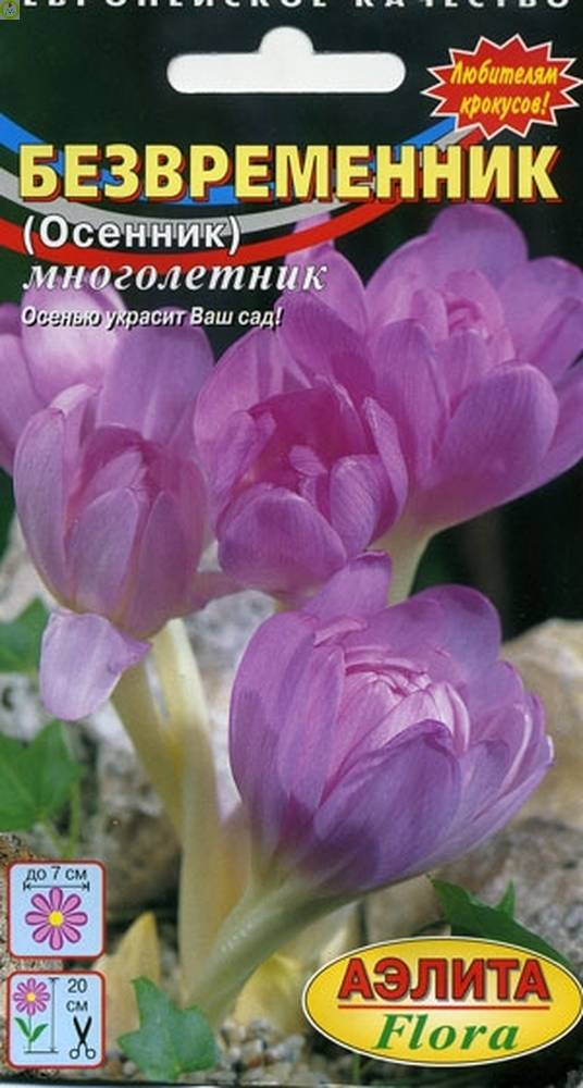 Купить оптом в Ботанике семена Безвременник (Осенник) Каменный цветок Аэл бренд Аэлита