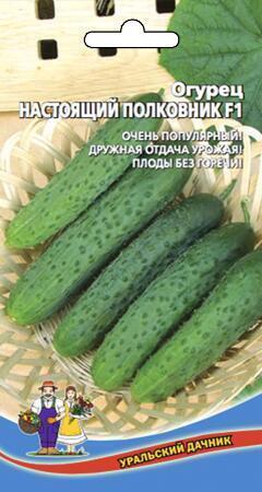 Купить оптом в Ботанике семена Огурец Настоящий полковник F1 УД бренд Уральский дачник