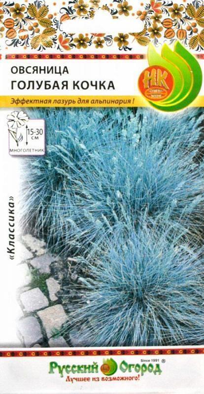 Купить оптом в Ботанике семена Овсяница Голубая кочка НК бренд НК