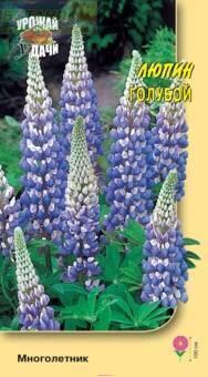 Купить оптом в Ботанике семена Люпин Голубой УУ бренд Урожай Удачи