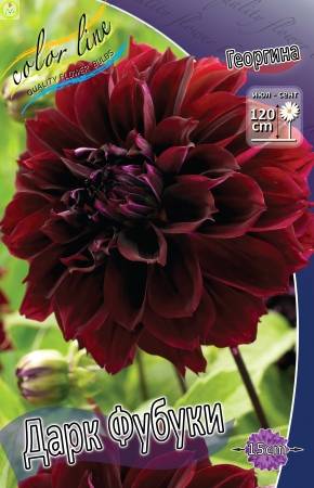 Купить оптом в Ботанике Георгина Дарк Фубуки 1 шт бахромчатые 
