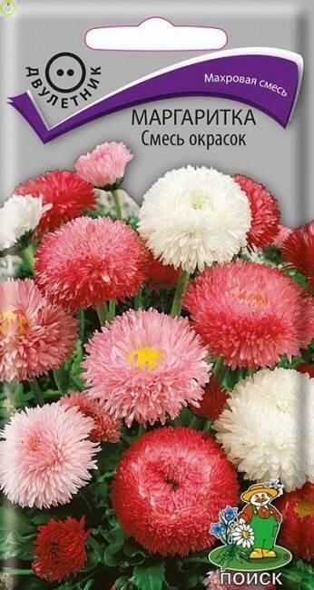 Купить оптом в Ботанике семена Маргаритка Смесь окрасок Поиск бренд Поиск