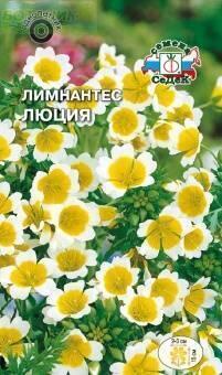 Купить оптом в Ботанике семена Лимнантес Люция Сед бренд СеДеК
