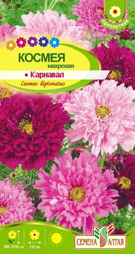 Купить оптом в Ботанике семена Космея Карнавал махровая СА бренд Семена Алтая