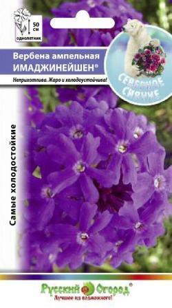 Купить оптом в Ботанике семена Вербена Имаджинейшен ампельная НК бренд НК