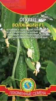 Купить оптом в Ботанике семена Огурец Волжский F1 Плз бренд Плазмас