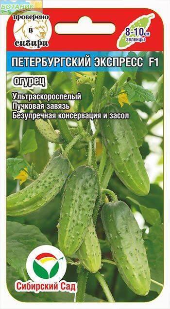 Купить оптом в Ботанике семена Огурец Петербургский экспресс F1 СС бренд Сиб.сад