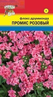 Купить оптом в Ботанике семена Флокс Промис розовый УУ бренд Урожай Удачи