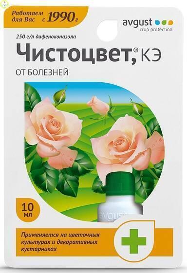 Купить оптом в Ботанике Чистоцвет 10 мл (80)