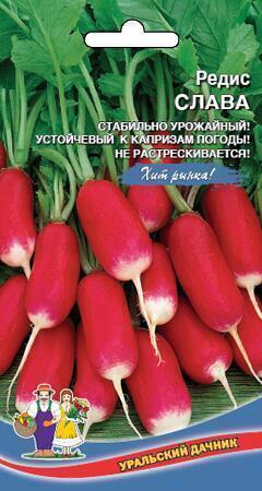 Купить оптом в Ботанике семена Редис Слава УД бренд Уральский дачник