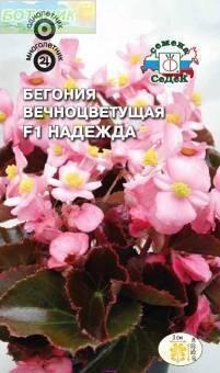 Купить оптом в Ботанике семена Бегония Надежда вечноцветущая Сед бренд СеДеК