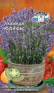 Купить оптом в Ботанике семена Лаванда Юдифь Сед бренд СеДеК
