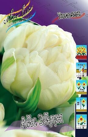 Купить оптом в Ботанике Тюльпан Айс Эйдж 10 шт