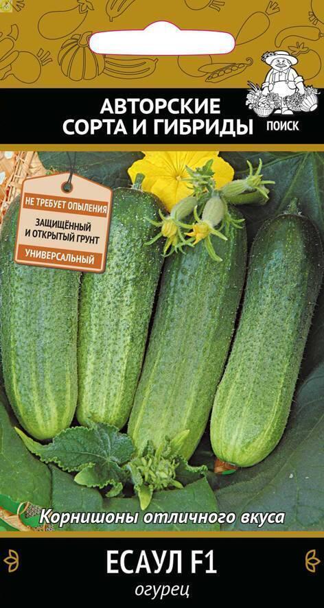 Купить оптом в Ботанике семена Огурец Есаул F1 Поиск бренд Поиск