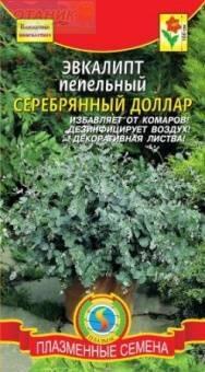 Купить оптом в Ботанике семена Эвкалипт Серебрянный доллар пепельный Плз бренд Плазмас