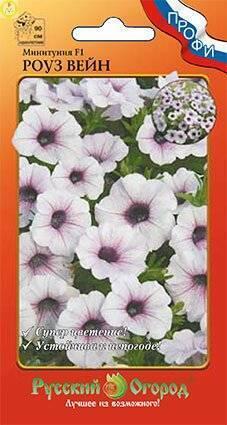 Купить оптом в Ботанике семена Минитуния Роуз Вейн F1 НК бренд НК