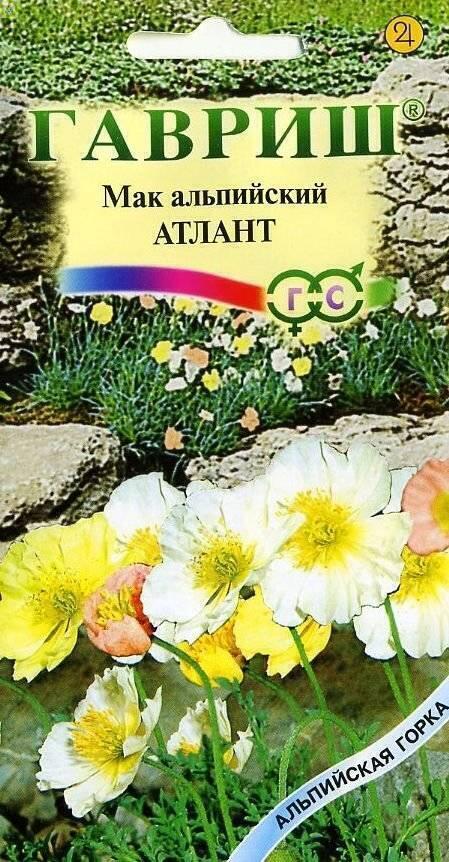 Купить оптом в Ботанике семена Мак Альпийский Атлант Гав бренд Гавриш