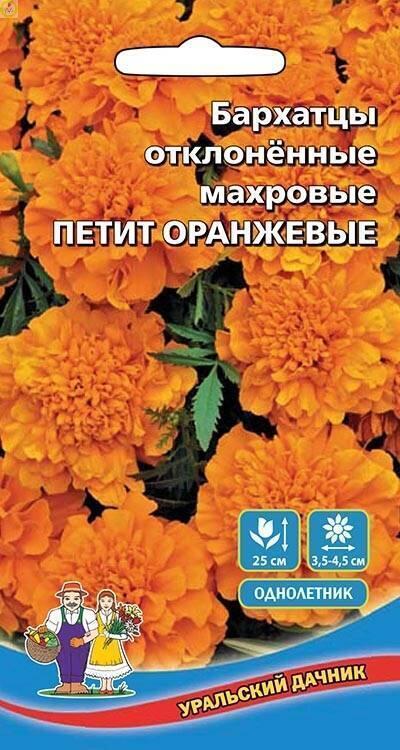 Купить оптом в Ботанике семена Бархатцы Петит Оранжевые УД бренд Уральский дачник