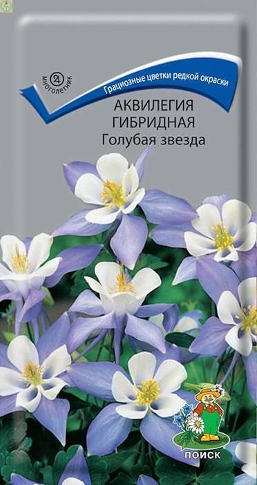 Купить оптом в Ботанике семена Аквилегия Голубая звезда гибридная Поиск бренд Поиск